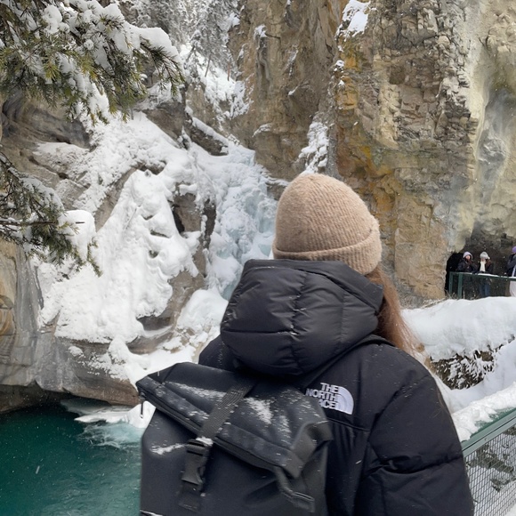 The North Face Jackets & Blazers - Women’s HMLYN Down Parka - size S NEW